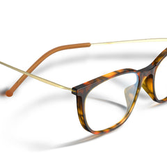 Amber Tortoise